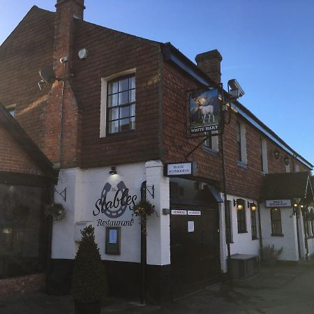 The White Hart Pub And Rooms Cranleigh Oda fotoğraf